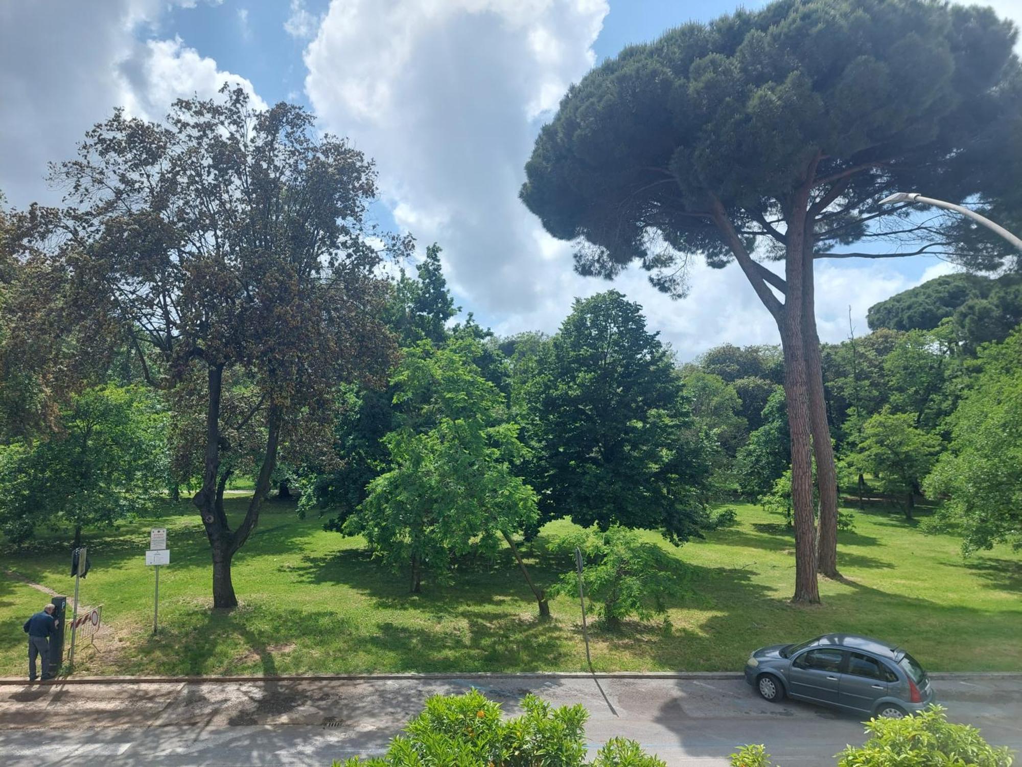 Pura Vida * Viareggio